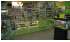 Изображение фотогаллереи №43 для раздела Витрины с каркасом из профиля для магазина зоотоваров серии ZOO