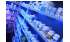 Изображение фотогаллереи №62 для раздела Аптечные прилавки с экранами серии БРИЗ - Голубой Горизонт