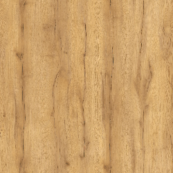 Дуб Золотистый