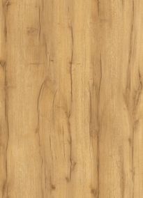 Дуб золотистый 