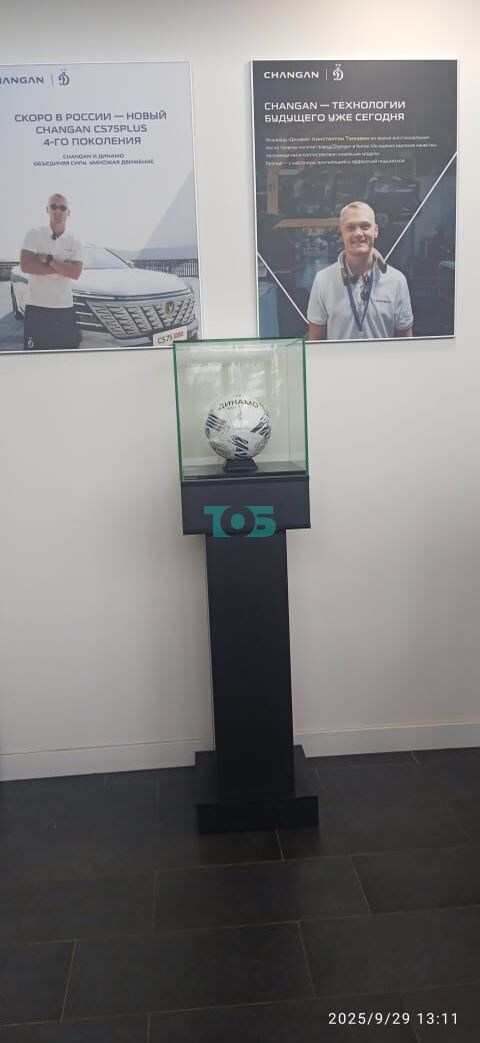 Витрина для музея Дуб Венге