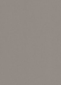 Алюминий матированный F501 ST2