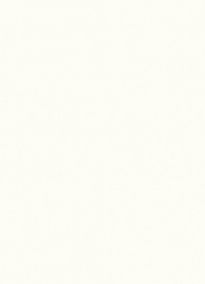 Белый премиум W1000 ST9