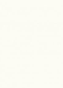 Белый Премиум структура шпона W1000 ST38