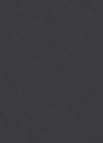 Антрацит 0164 PE