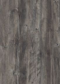 Сосна пасадена H1486 ST36