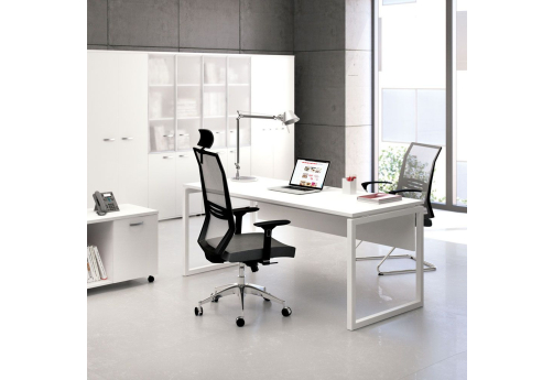 Стол письменный с экраном Мира Одри, цвет белый премиум + белый