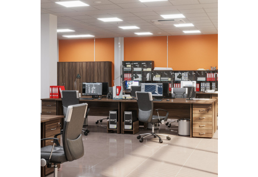 Рабочая станция на 4 человека Колибри, цвет палдао