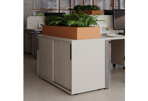 Шкаф-купе низкий Лиани, цвет шамони светлый