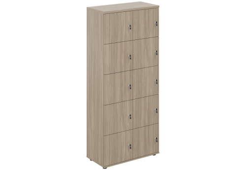 Локер 10 ячеек Индиго Вуд, цвет дуб темный