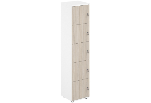 Локер 5 ячеек Индиго Вуд, цвет белый + дуб светлый