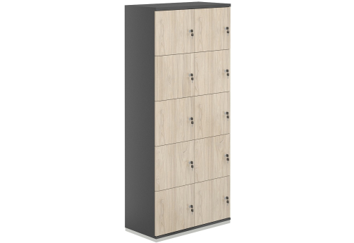 Локер 10 ячеек Фламинго, цвет антрацит + акация