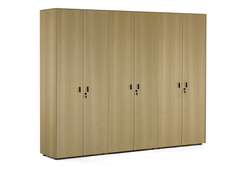 Шкаф для бумаг х 2 с гардеробом, цвет эвкалипт светлый + черный