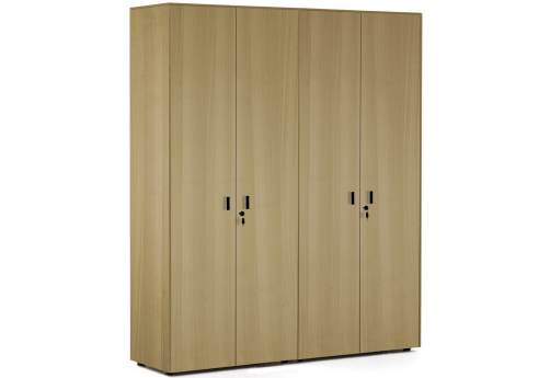 Шкаф для бумаг х 2, цвет эвкалипт светлый + черный