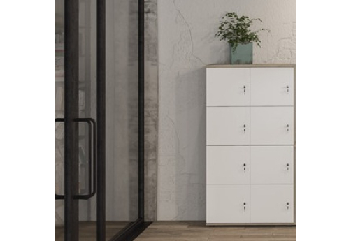 Локер 10 ячеек Индиго Вуд, цвет дуб темный + белый