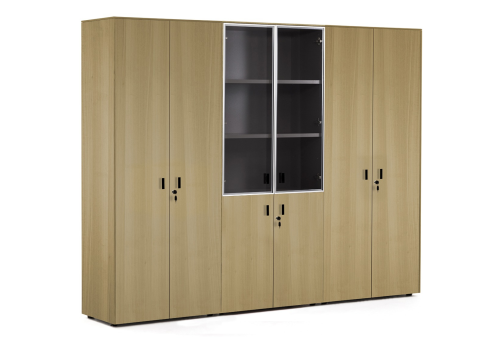 Шкаф комбинированный + гардероб + для бумаг, цвет эвкалипт светлый + черный