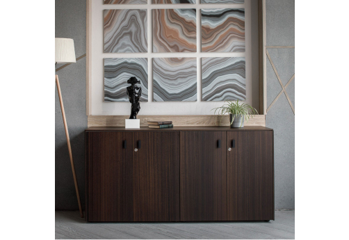 Шкаф 4 двери Диорус, цвет эвкалипт темный + черный