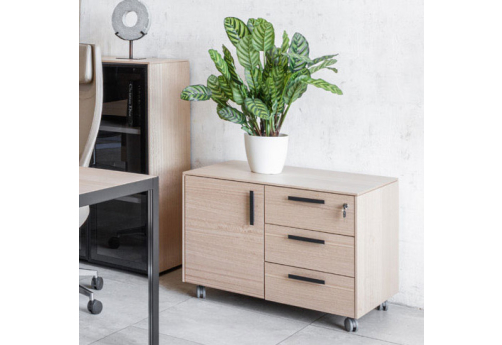 Тумба 3 ящика и 1 дверь Диорус, цвет эвкалипт светлый + черный