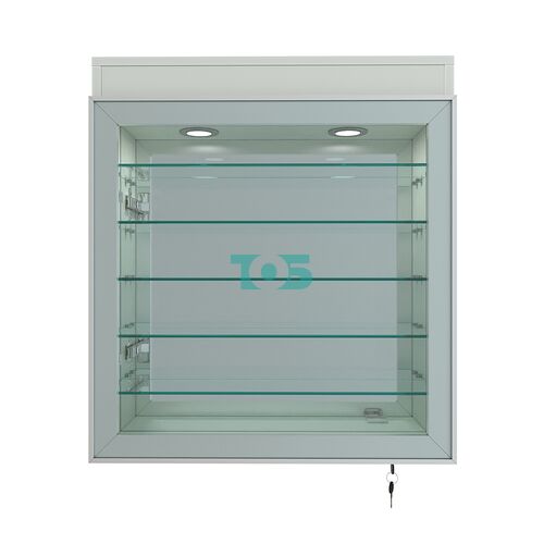 Витрина настенная №1-8А с пятью полками, подсветкой и зеркалом серии Collecto