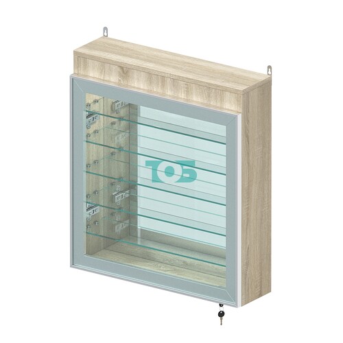 Витрина настенная №1-8А с пятью полками, подсветкой и зеркалом серии Collecto