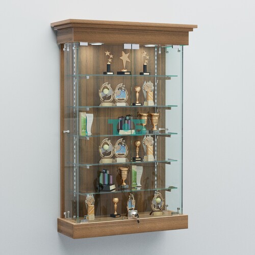 Витрина для музеев "Коллекция" настенная №1-5-РЕГ