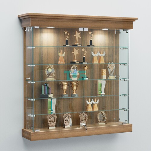 Витрина для музеев "Коллекция" настенная №2-5