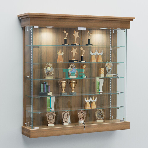 Витрина для музеев "Коллекция" настенная №2-5-РЕГ