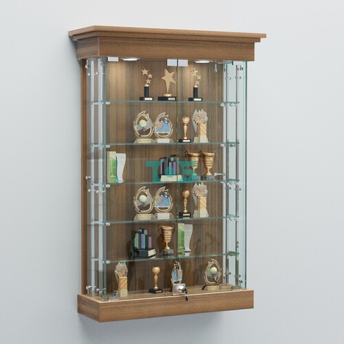 Витрина для музеев "Коллекция" настенная №1-5А-РЕГ