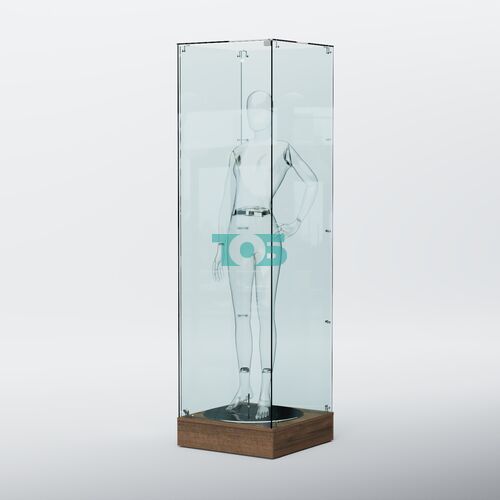 Витрина для музеев "Коллекция" №9