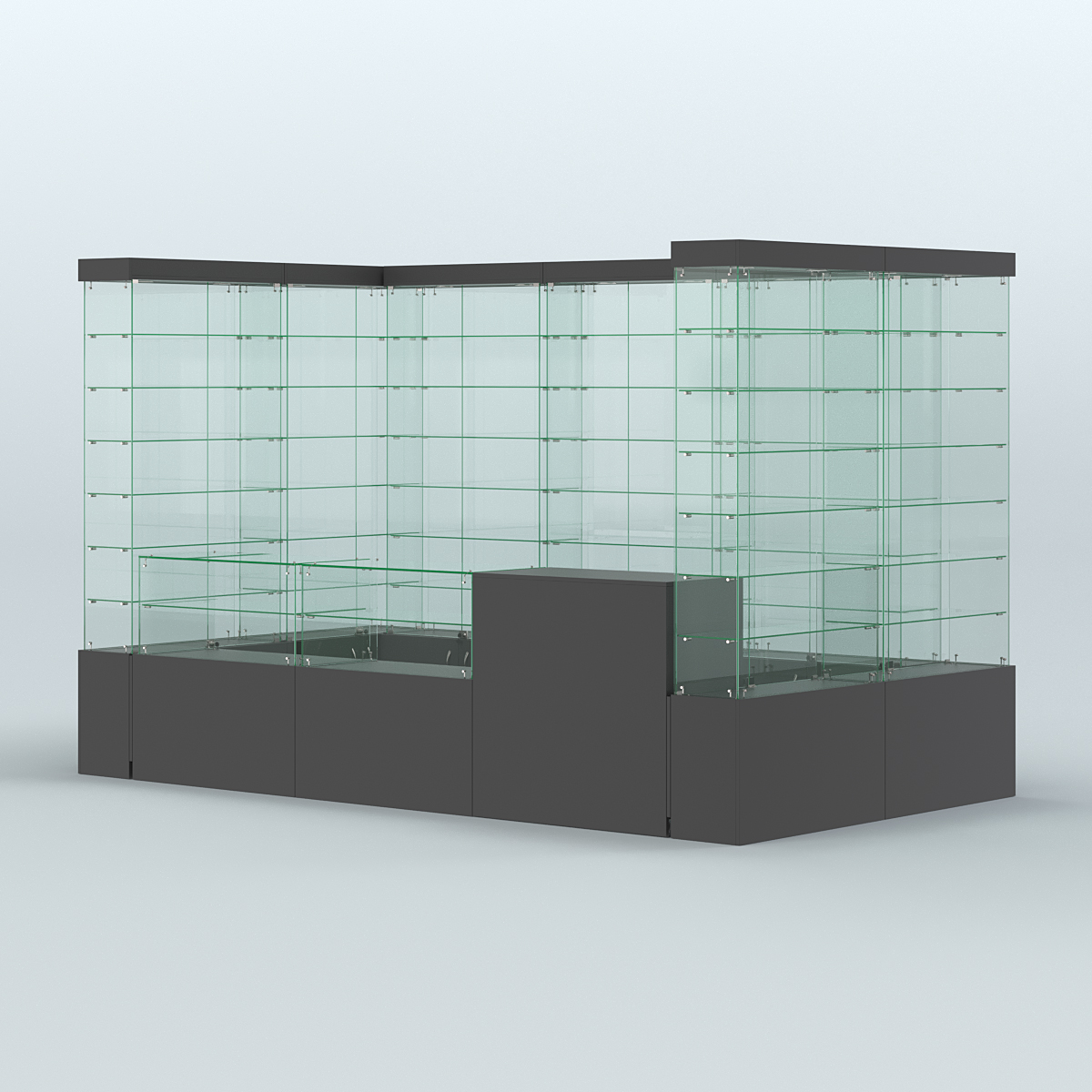 Павильон ИСТРА (глубина витрин-300мм) №3а (5, 94 кв.м) Черный