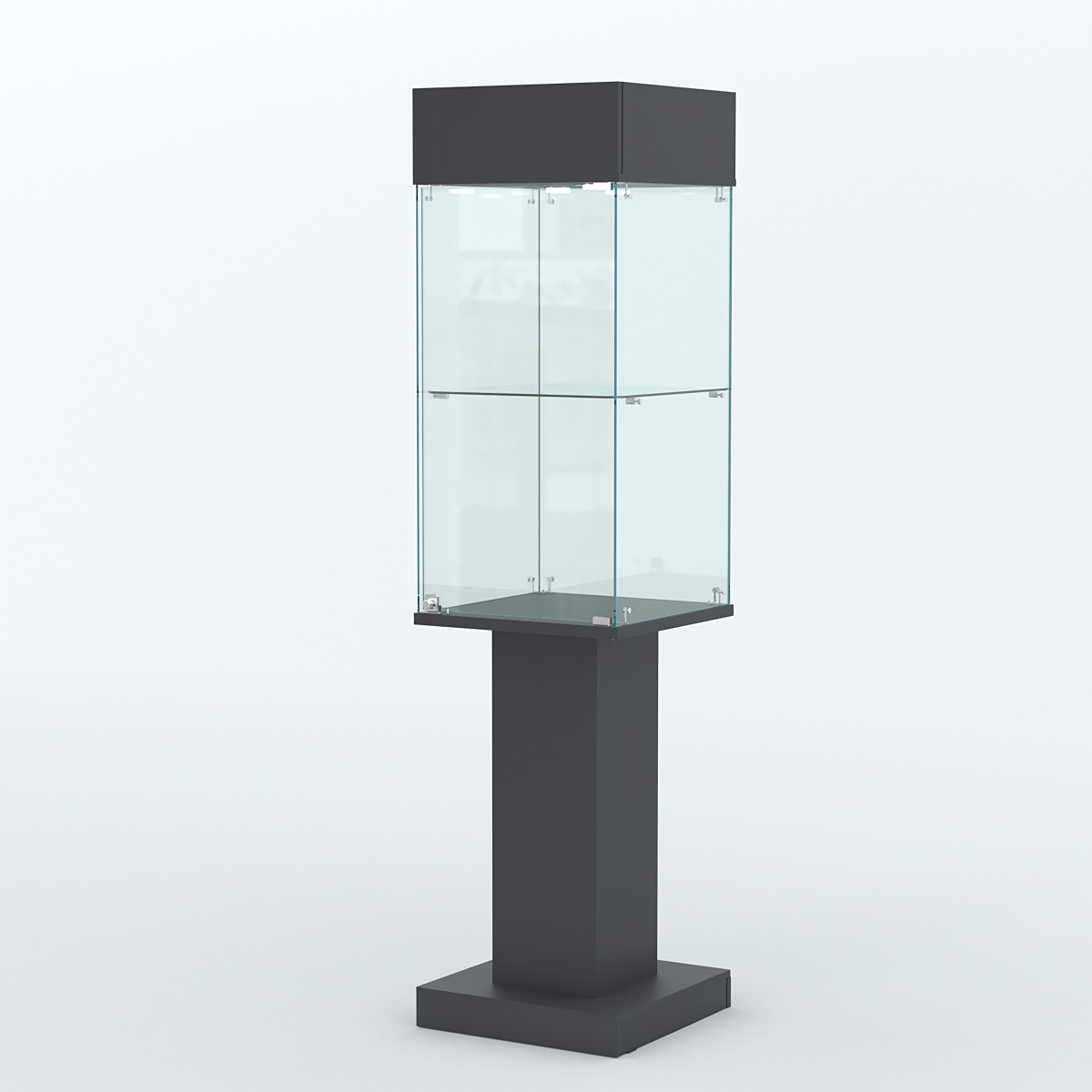 Витрина для музеев "Коллекция" №23 Антрацит