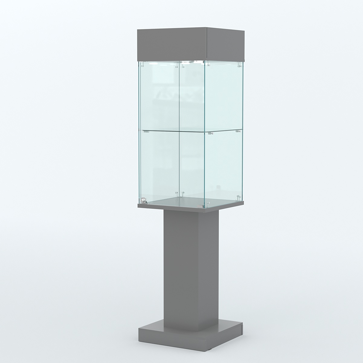 Витрина для музеев "Коллекция" №23 Темно-Серый