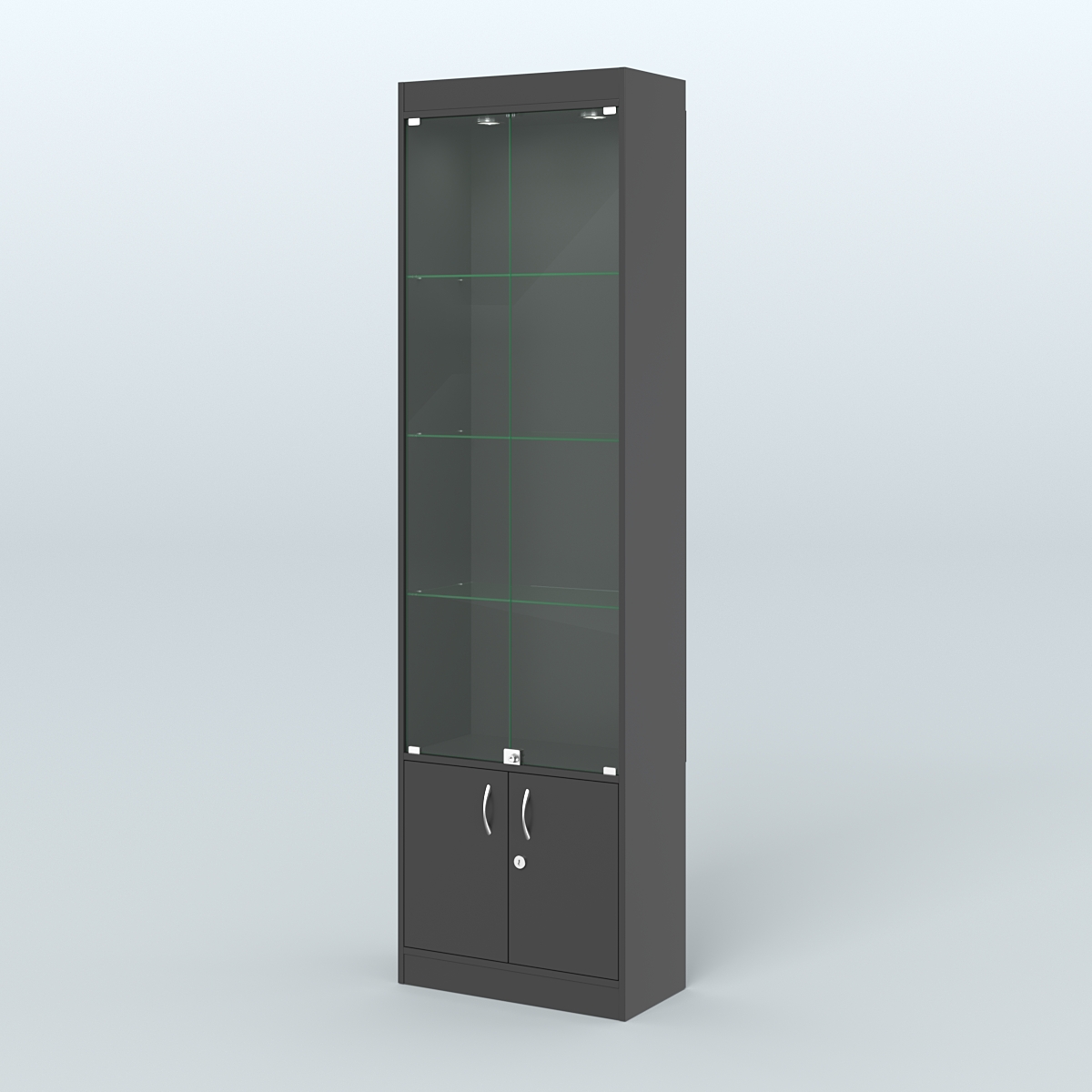 Витрина закрытая из ДСП с дверками для аптеки №2-300-1 Черный