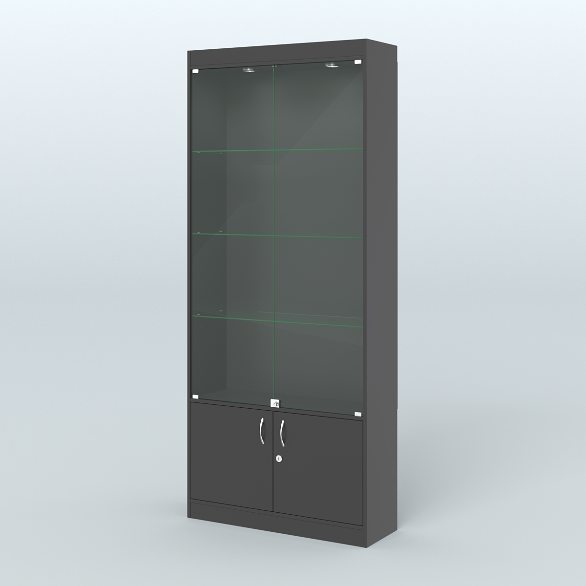 Витрина прямоугольная из ДСП с дверками для аптеки №1-300-1 Черный