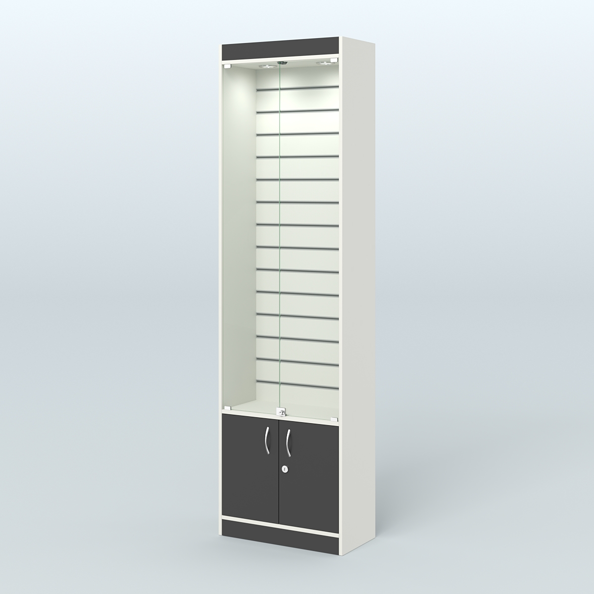 Витрина закрытая из ДСП с экономпанелью для аптеки №2-300-4 Белый и Черный