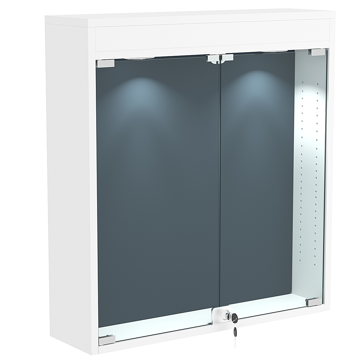 Витрина настенная БАРОН для медалей №1-3А  Белый + + 11 Blue