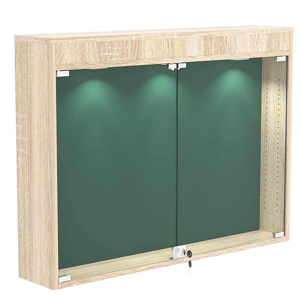 Витрина настенная БАРОН для медалей №3-3А Дуб сонома + 10 Green