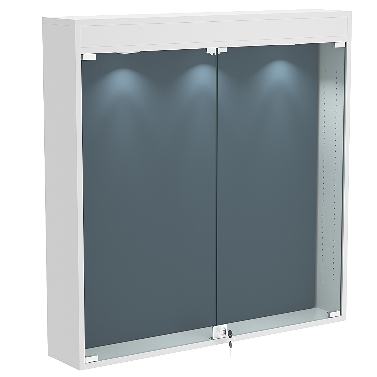 Витрина настенная БАРОН для медалей №4-4А Серый + 11 Blue