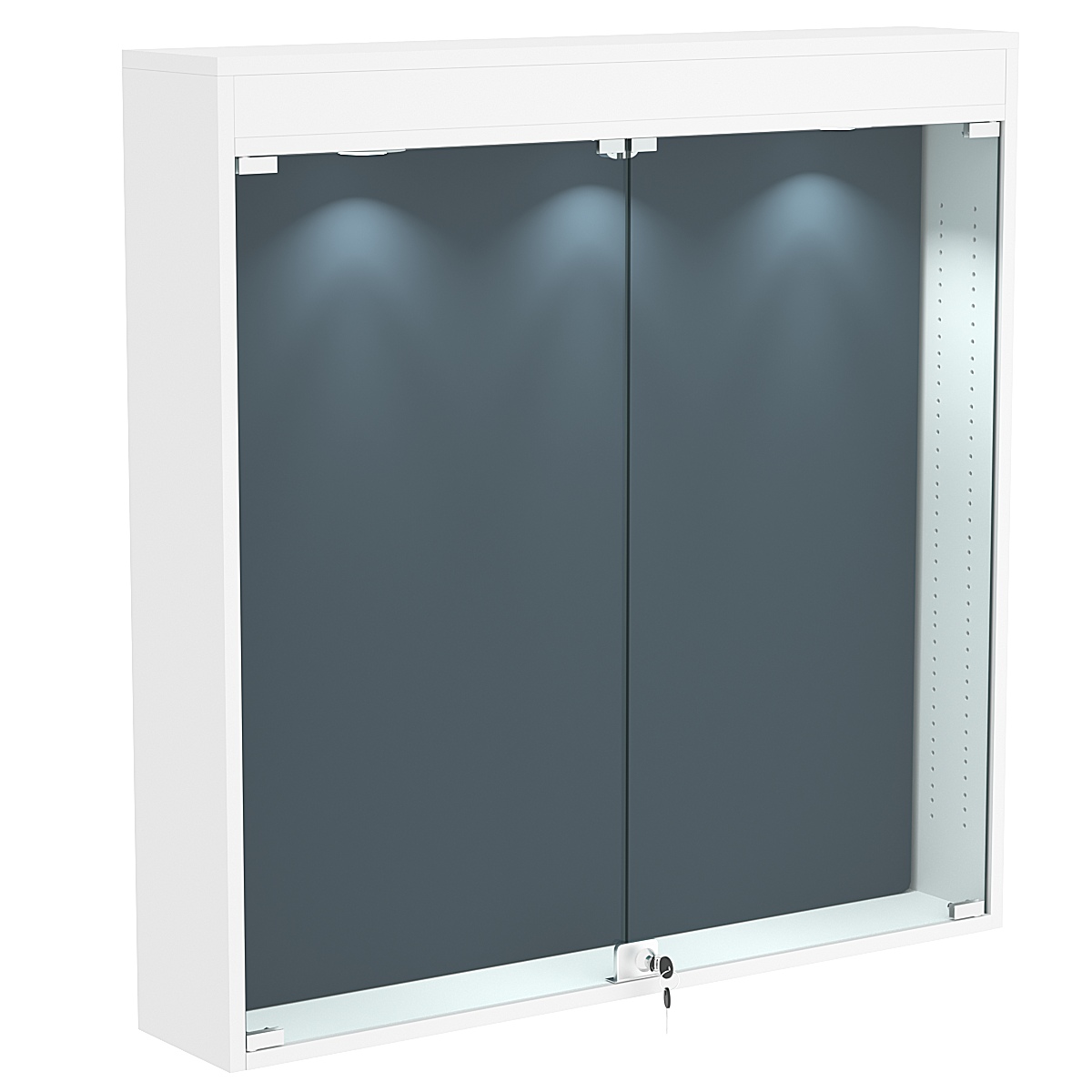 Витрина настенная БАРОН для медалей №4-4А Белый + + 11 Blue