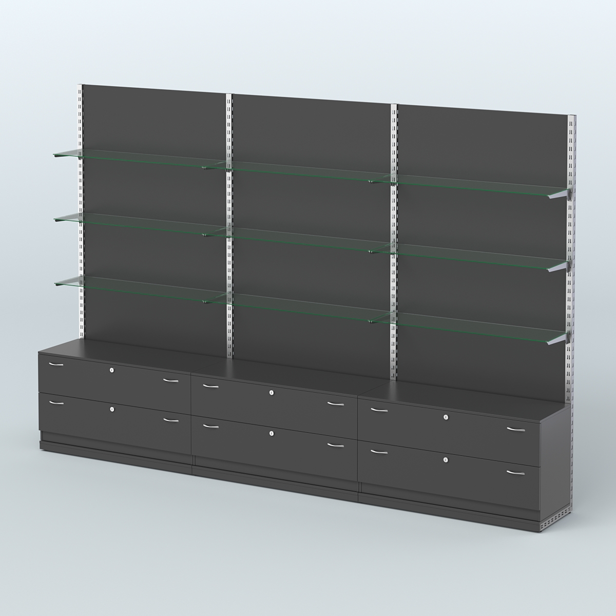 Система ЭЛЕГАНТ №8 пристенная с ДСП и тумбами Т12 (3600 мм) Черный