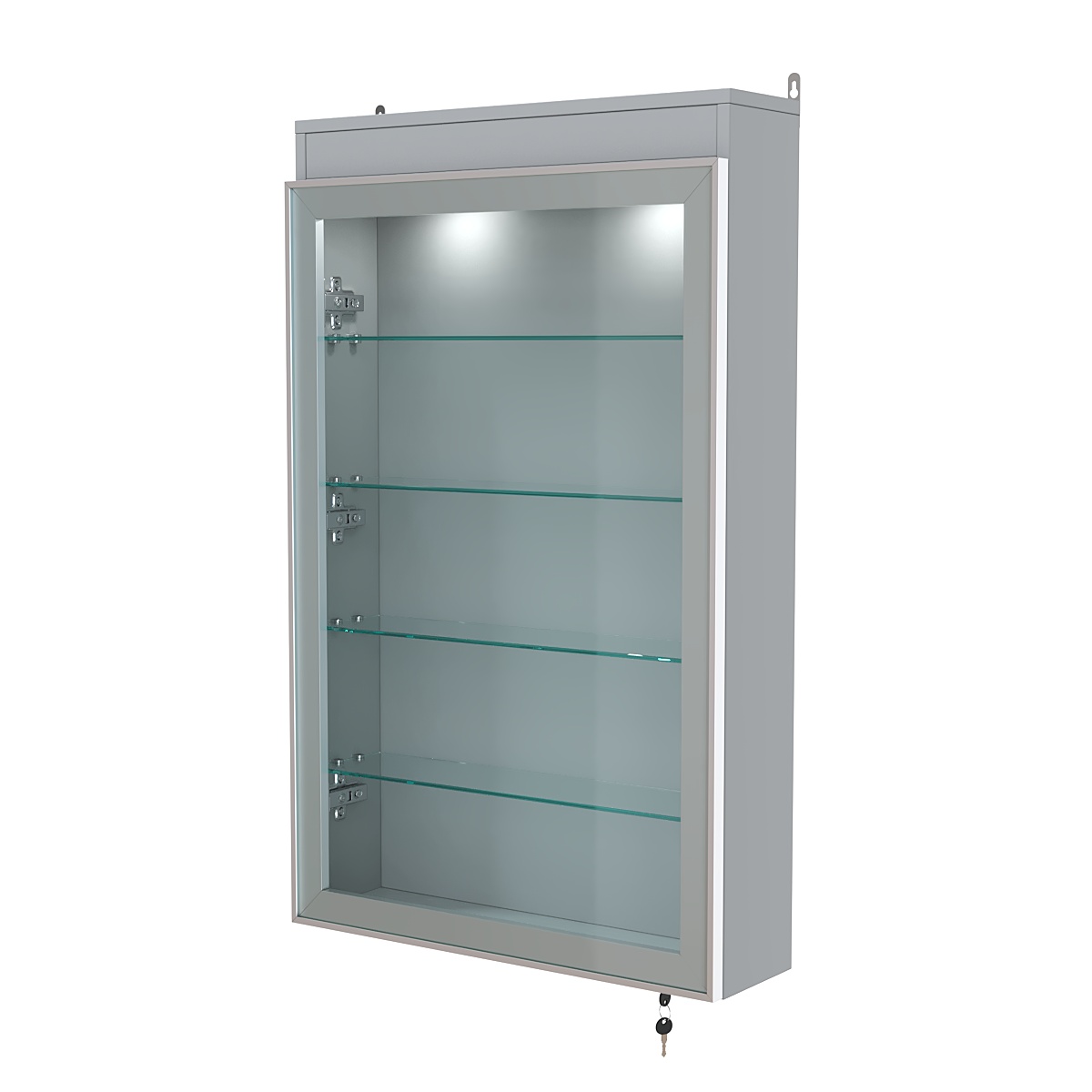 Витрина настенная №2-3А с четырьмя полками и подсветкой серии Collecto Серый