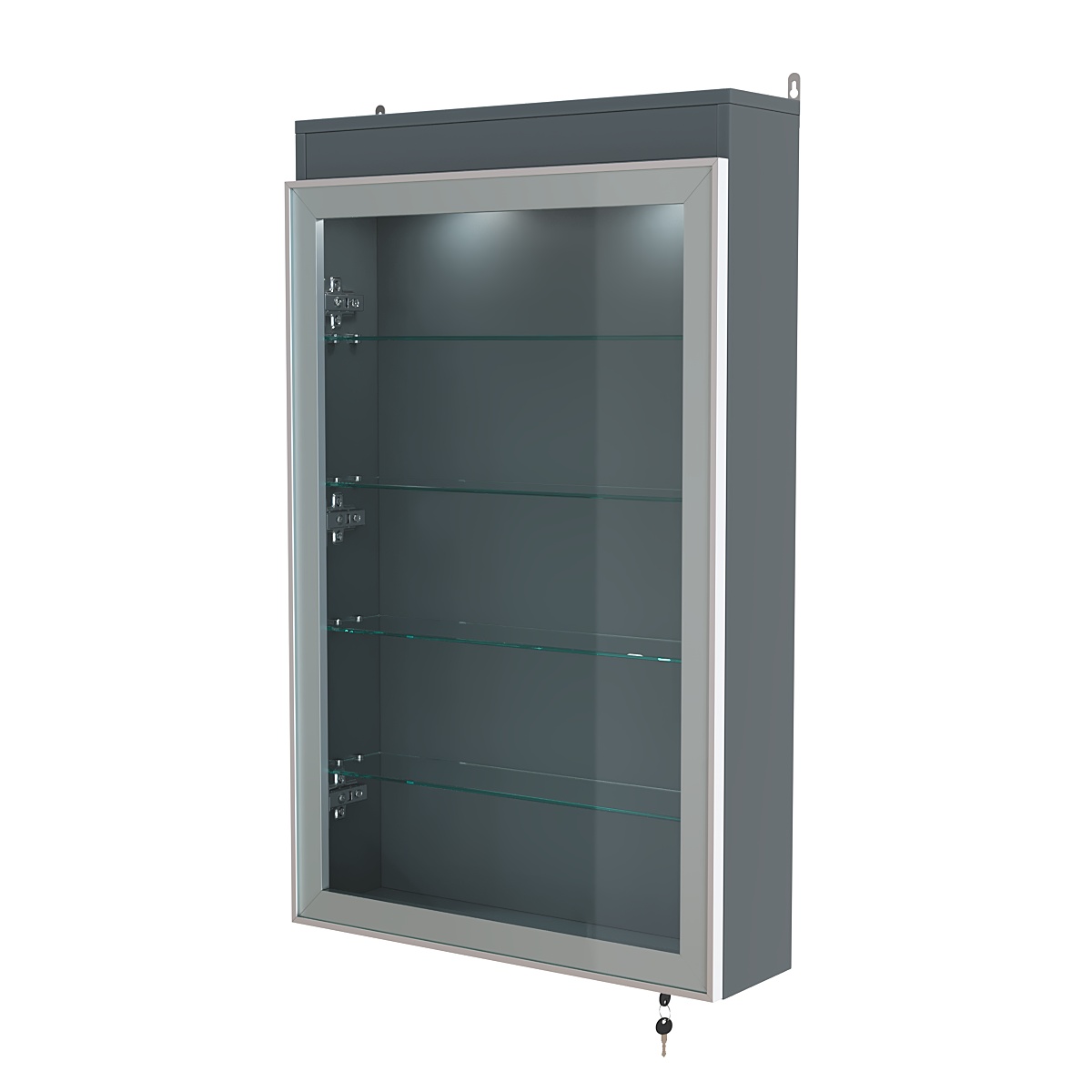Витрина настенная №2-3А с четырьмя полками и подсветкой серии Collecto Темно-Серый