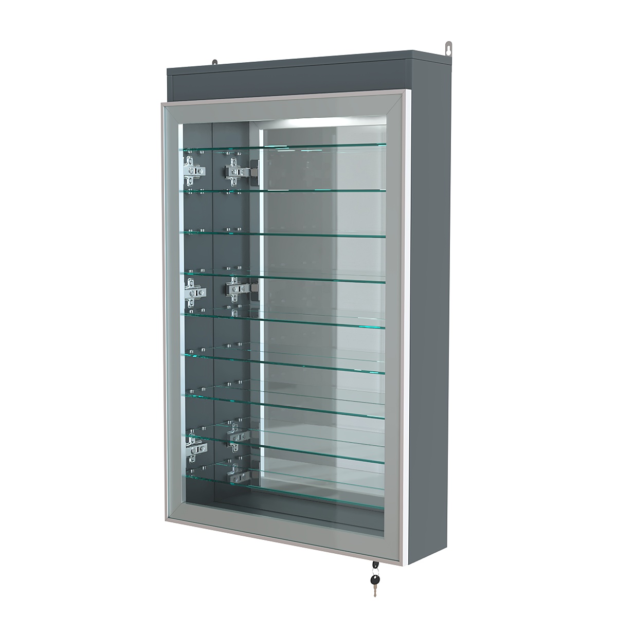 Витрина настенная №2-8А высокая с девятью полками, зеркалом и подсветкой серии Collecto Темно-Серый