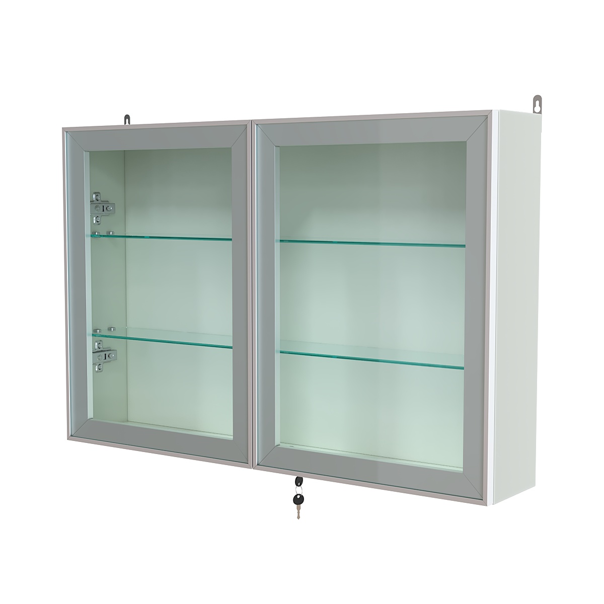 Витрина настенная №3-1А широкая со стеклянными полками серии Collecto Белый