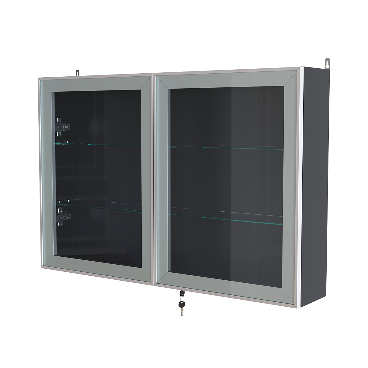 Витрина настенная №3-1А широкая со стеклянными полками серии Collecto Антрацит