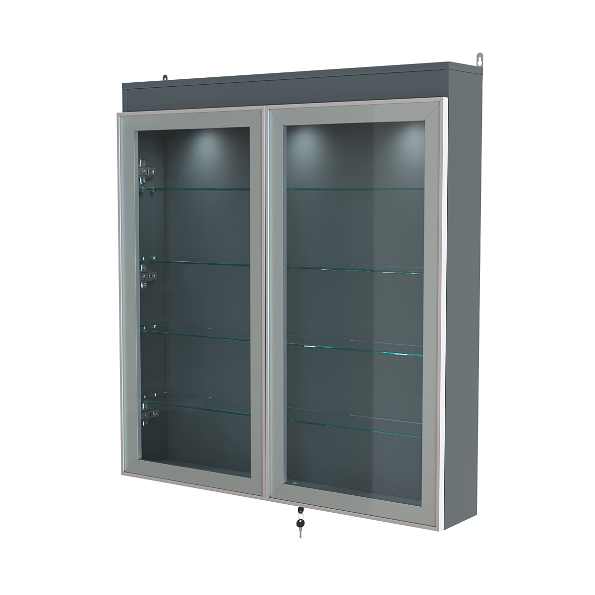 Витрина настенная №4-3А с подсветкой серии Collecto Темно-Серый