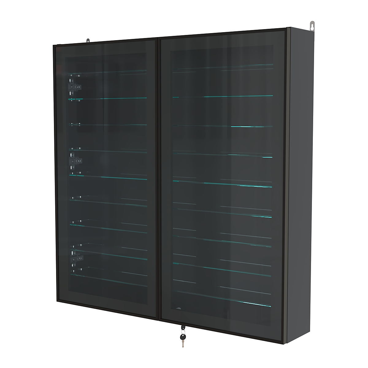 Витрина настенная №4-5А с девятью прозрачными полками серии Collecto Черный