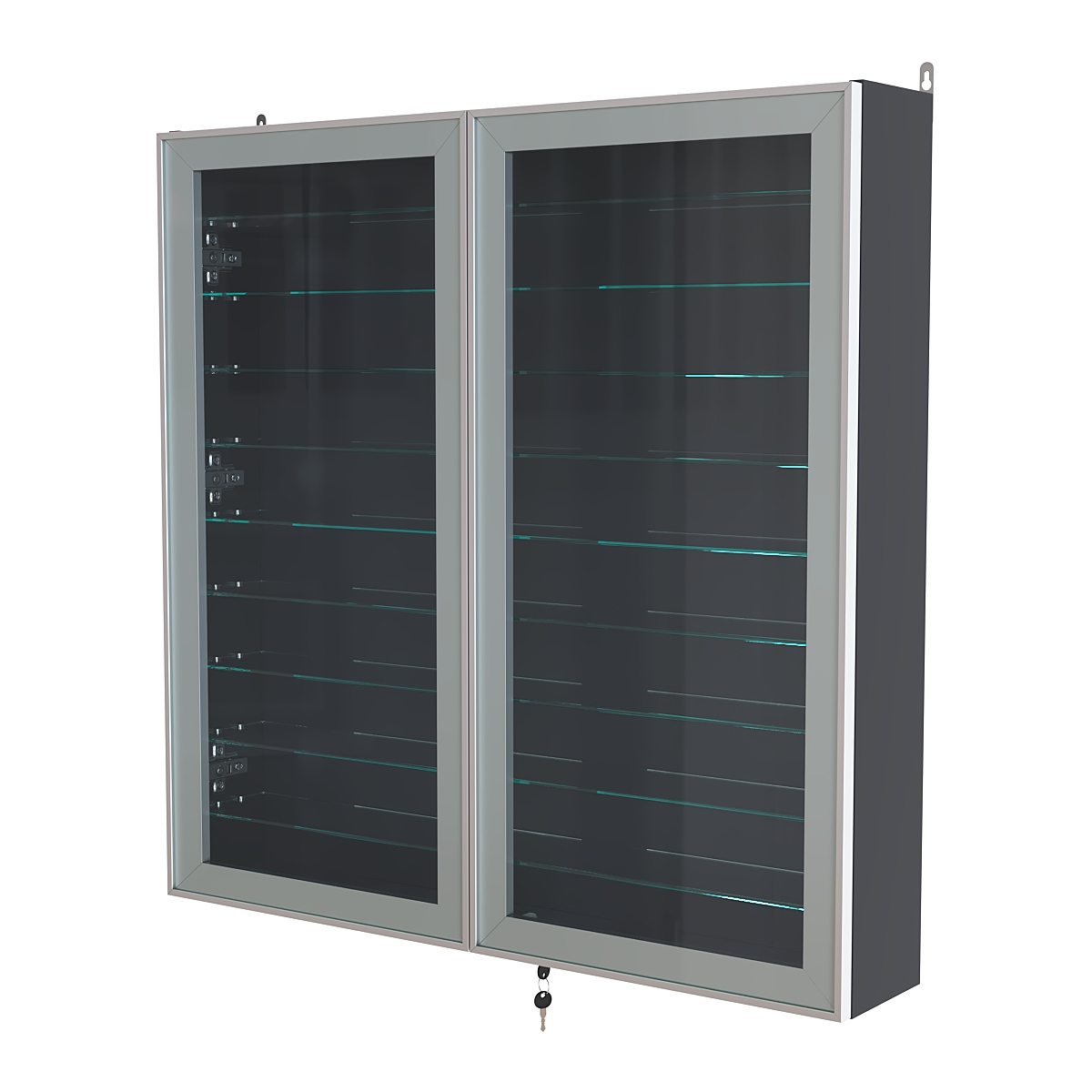 Витрина настенная №4-5А с девятью прозрачными полками серии Collecto Антрацит