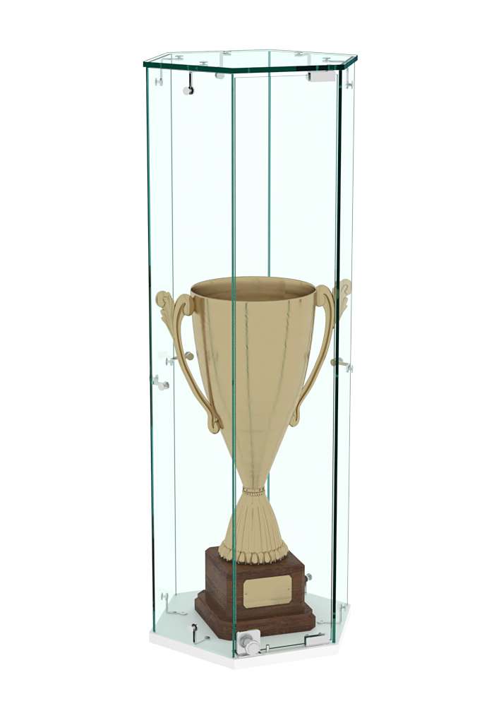 Витрина Истра настольная шестигранная №10  (без полок, прозрачная) Белый