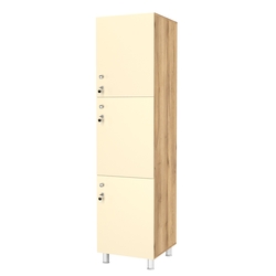 Шкаф для раздевалок СТАНДАРТ-ТРИО №2, Дуб Золотистый и Крем Вайс